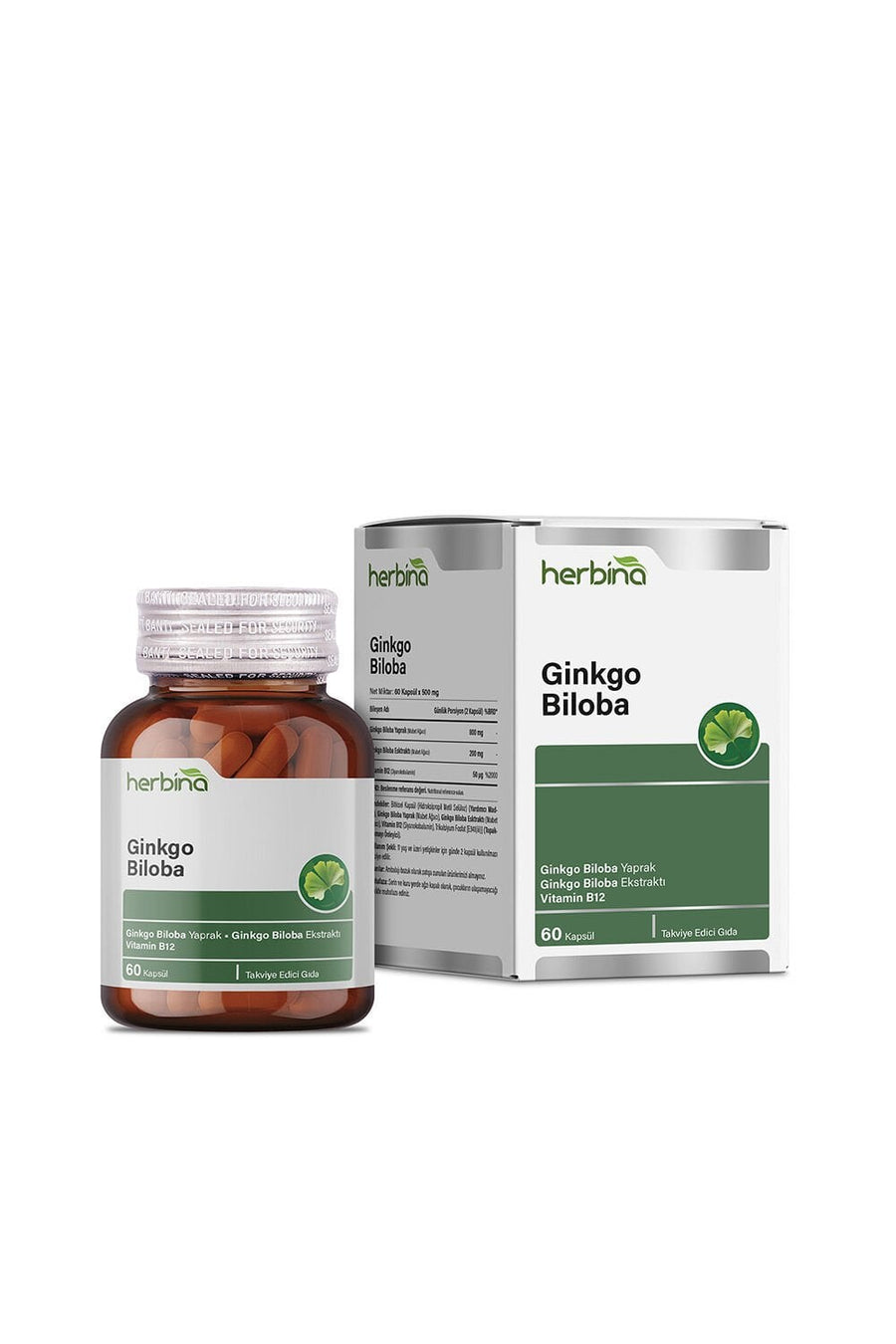 Ginkgo Biloba
