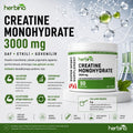 Herbina Super Sport Creatine Monohydrate 3000 mg 150 g tanıtım görseli
