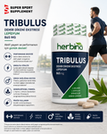 Tribulus
